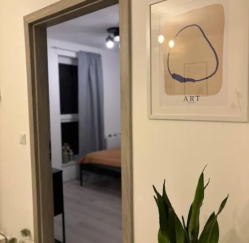 דירה 8 טיצ'י